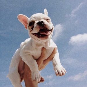 Meet your Posher, Elise